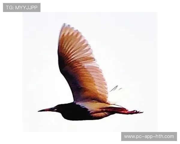 拉塞尔强化低速弯出口动作